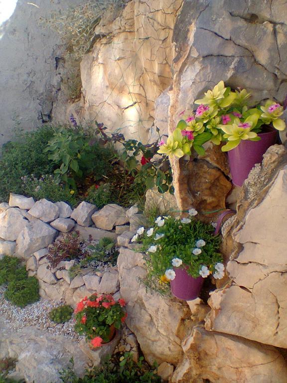Gospodar Apartments شيبينيك المظهر الخارجي الصورة